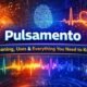 Pulsamento