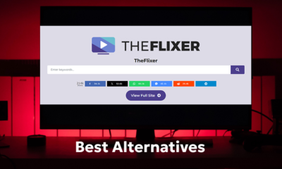 TheFlixer